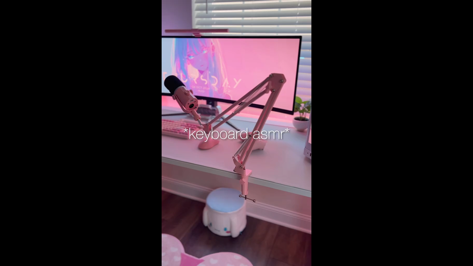 Amazon.com: FEELWORLD PM1 XLR USB Dynamic Microphone with Boom Arm